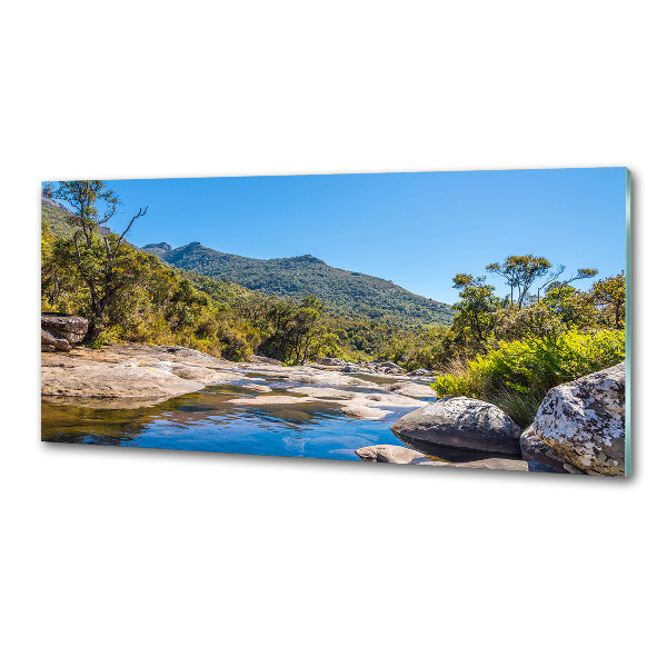 Panel do kuchni Rzeka w lesie