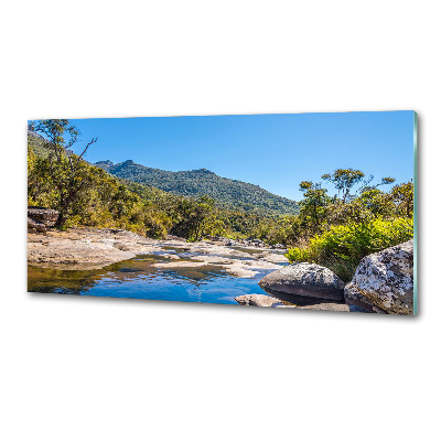 Spatscherm keuken Rivier in het bos