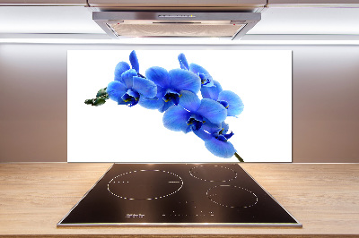 Spatplaat keuken Blauwe orchidee