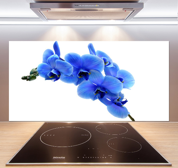 Spatplaat keuken Blauwe orchidee