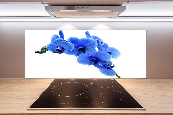 Spatplaat keuken Blauwe orchidee