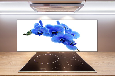 Spatplaat keuken Blauwe orchidee