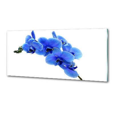 Spatplaat keuken Blauwe orchidee