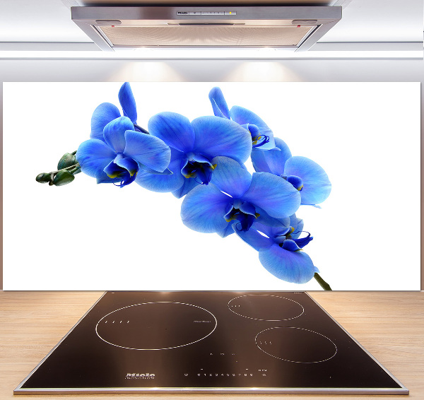Spatplaat keuken Blauwe orchidee