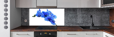 Spatplaat keuken Blauwe orchidee