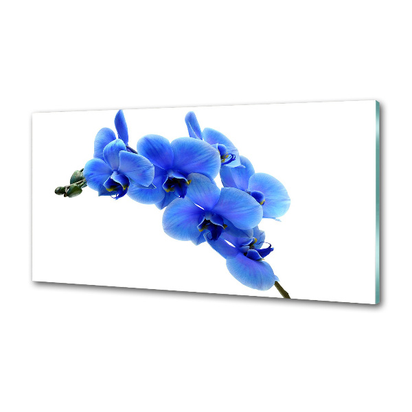 Spatplaat keuken Blauwe orchidee