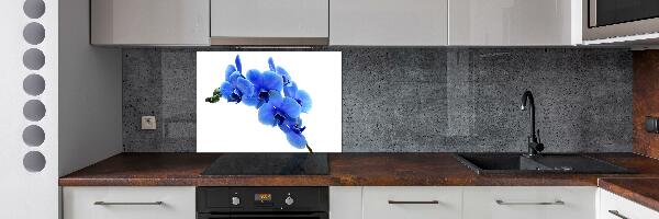 Spatplaat keuken Blauwe orchidee