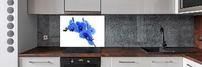 Spatplaat keuken Blauwe orchidee