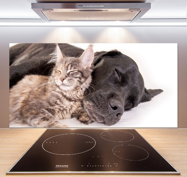 Achterwand keuken Hond met kat