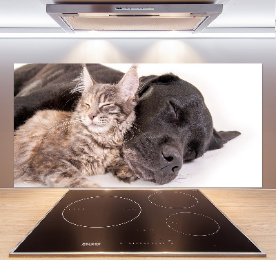 Achterwand keuken Hond met kat