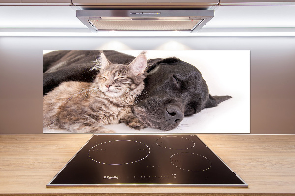 Achterwand keuken Hond met kat