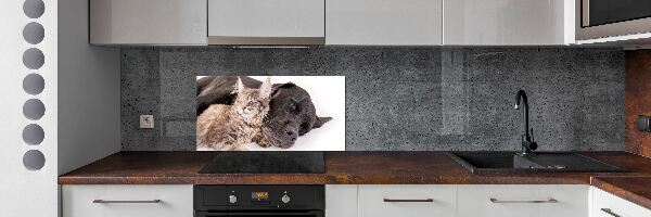 Achterwand keuken Hond met kat