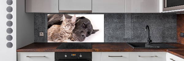 Achterwand keuken Hond met kat