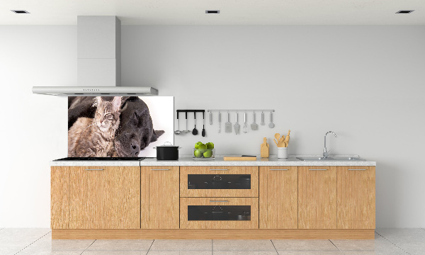 Achterwand keuken Hond met kat
