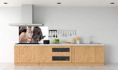 Achterwand keuken Hond met kat