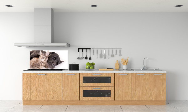 Achterwand keuken Hond met kat