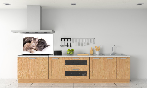Achterwand keuken Hond met kat