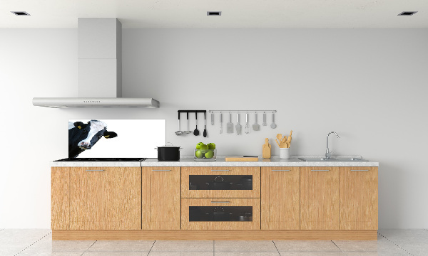 Spatscherm keuken Koe