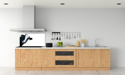 Spatscherm keuken Koe