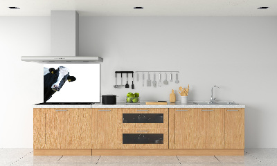 Spatscherm keuken Koe