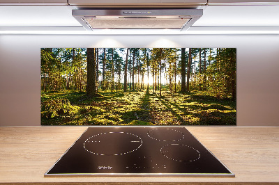 Panel dekor szkło Las sosnowy