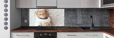 Keuken achterwand Katje in een trui