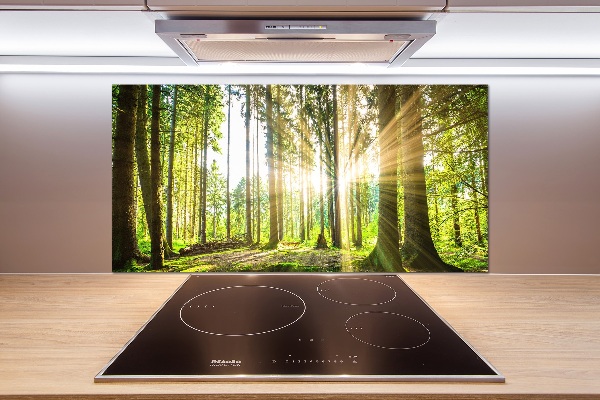 Keuken achterwand Bos in de zon