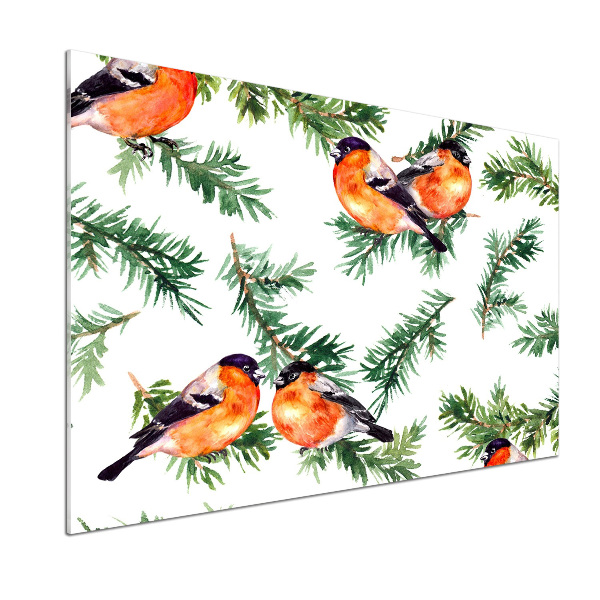 Spatscherm keuken Roodborstje op een naaldboom