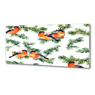 Spatscherm keuken Roodborstje op een naaldboom