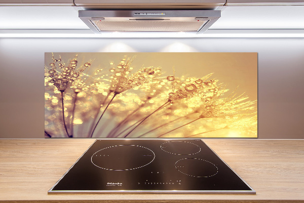 Panel do kuchni Nasiona dmuchawca