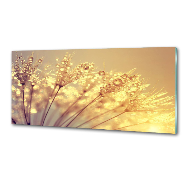 Glazen achterwand keuken Paardenbloemzaden