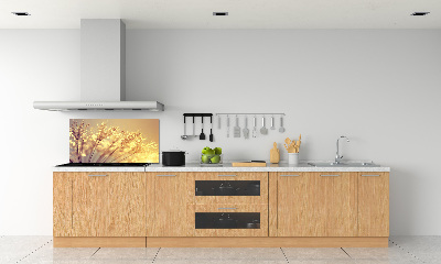 Glazen achterwand keuken Paardenbloemzaden