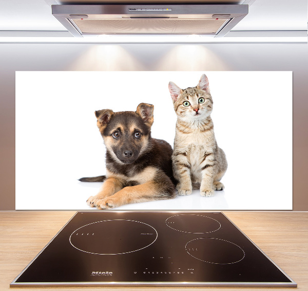 Achterwand keuken Hond en kat