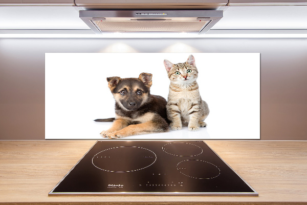 Achterwand keuken Hond en kat