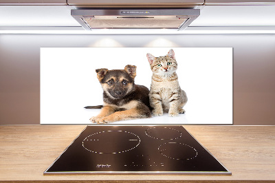 Achterwand keuken Hond en kat