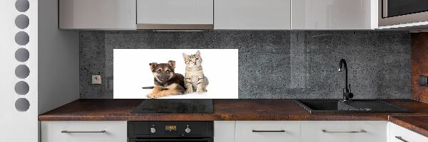Achterwand keuken Hond en kat
