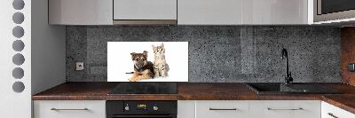 Achterwand keuken Hond en kat