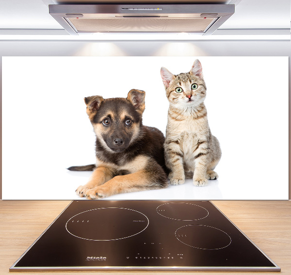 Achterwand keuken Hond en kat