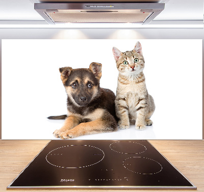 Achterwand keuken Hond en kat