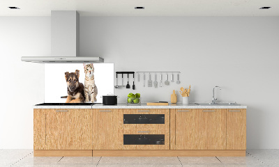 Achterwand keuken Hond en kat