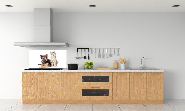 Achterwand keuken Hond en kat