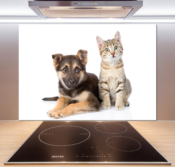 Achterwand keuken Hond en kat