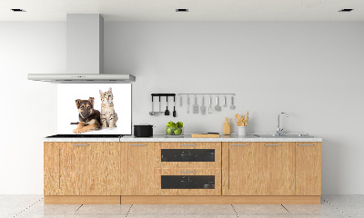 Achterwand keuken Hond en kat