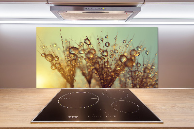 Panel do kuchni Nasiona dmuchawca