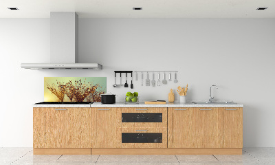 Achterwand keuken Paardenbloemzaden