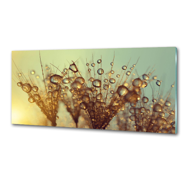 Panel do kuchni Nasiona dmuchawca