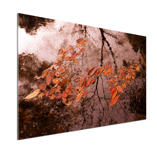 Panel do kuchni Liście na wodzie