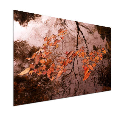 Spatscherm keuken Bladeren op het water