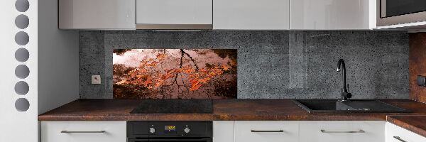 Spatscherm keuken Bladeren op het water