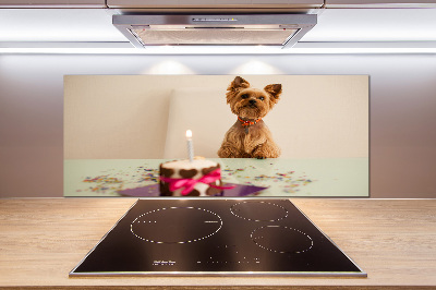 Spatscherm keuken Hond met taart
